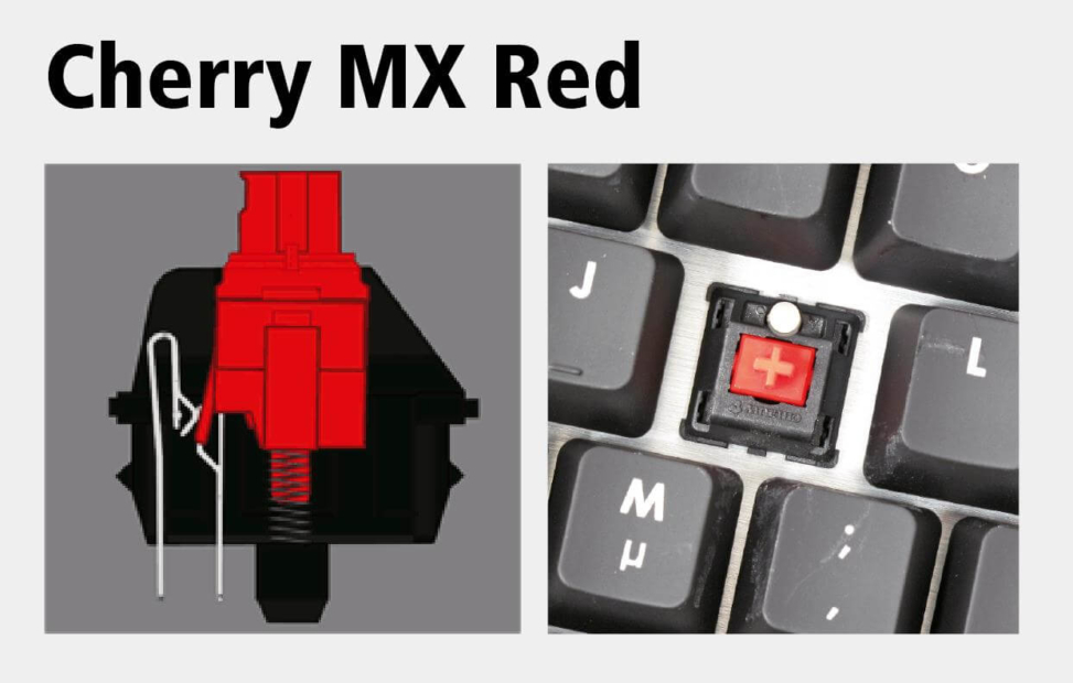 Tastatur: Cherry MX Red Aufbau