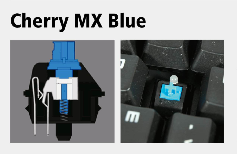 Tastatur: Cherry MX Blue Aufbau