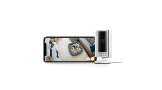 Die neue Ring Indoor Cam der 2. Generation sowie ein Smartphone, welches einen Hund im Überwachungsvideo zeigt, vor weißem Hintergrund.