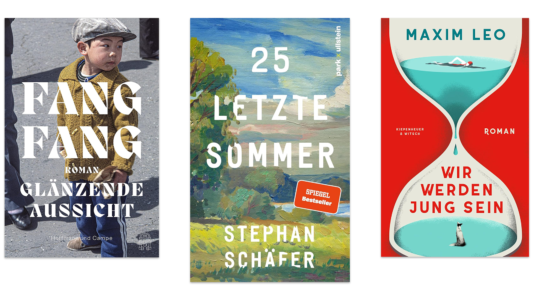 Drei tolle Bücher für die Sommerlektüre vor weißem Hintergrund. zu sehen sind 25 letzte Sommer, Fang Fang und Wir werden jung sein.